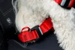 ZOLUX Travel Safe S red - dog harness