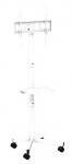 TV SET ACC FLOOR STAND 32-55" GEMBIRD