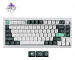 klaviatuur WRL Q1 HE RGB/SHELL WHITE Q1H-P1 KEYCHRON