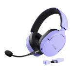 K&otilde;rvaklapid WRL GXT491P FAYZO PURPLE 25305 TRUST