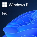Tarkvara MICROSOFT Win 11 Pro 64Bit Eng Intl 1pk DSP OEI DVD Win Pro OEM English FQC-10528