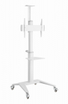 TV SET ACC FLOOR STAND 37-70" WHITE GEMBIRD