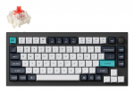 klaviatuur WRL Q1 MAX RGB/CARBON BLACK Q1M-M1 KEYCHRON