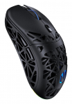Hiir USB OPTICAL WRL LIV BLACK EY6A018 ENDORFY