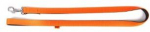 Koera rihm Dingo Energy, oranž v., 2.2m x 20mm