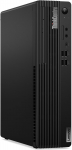 Statsionaarne arvuti Lenovo ThinkCentre M75s Gen 5 AMD Ryzen&trade; 3 8300G, 256 GB, DDR5 8 GB, SSD 256 GB, AMD Radeon&trade; 740M Dynamic, Windows 11 Pro 12TA0000PB