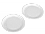 &Uuml;hekordne taldrik Simple Solution 20393, 100 tk