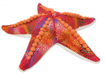Pehme m&auml;nguasi Wild Planet Starfish 50476, punane, 7 cm