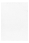 Koridorivaip Pouffy POUFFY802505100WHITE, valge v., 250 cm x 80 cm