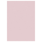 Vaip sise Ayyildiz SKY2002905400ROSE, roosa v., 290 cm x 200 cm