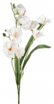 Kunstlill Natu 284, kreemjasvalge, 80 cm