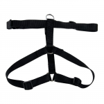 Koerte traksid Zolux, must, 400 - 600 mm x 20 mm