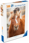Pusle Ravensburger Pony And Cat, 49 cm x 36 cm, 500 tk, mitmev&auml;rviline
