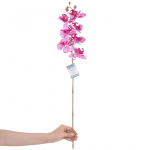 Kunstlill, orhidee AmeliaHome Faleni PLum, roheline/violetne, 76 cm
