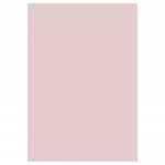 Vaip sise Ayyildiz SKY1602305400ROSE, roosa v., 230 cm x 160 cm