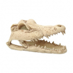 Terraariumi dekoratsioon Repti Planet Crokodil Skull