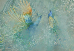 Fototapeet Artgeist Peacocks Dancing, 70 cm x 100 cm