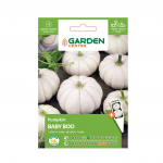 Seemned Garden Center, dekoratiivk&otilde;rvits BABY BOO, 1.5 g