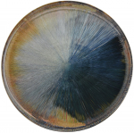 Taldrik prae Ambition Madera, &Oslash; 27 cm, sinine/pruunikas