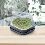 Kasvulava - lasteaed Prosperplast Respana, 25.7 cm x 19.6 cm x 18.5 cm