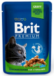 Kassi m&auml;rgtoit Brit Premium Chicken Slices Sterilised, kanaliha, 0.1 kg