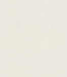 Tapeet Rasch 540802, vin&uuml;&uuml;l, helekreemjas v.