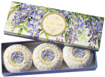 Seebikomplekt Fiorentino Wisteria, 300 g, 3 tk
