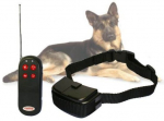 Koera treeningkaelarihm Dog Training AG26
