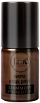 Highlighter J.Cat Beauty Shine Your Day! Shimmery Powder, 107 dark wood, 3 g