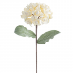 Kunstlill Flore 845, kreemjasvalge, 61 cm x 20 cm