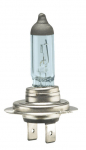Autopirn Bottari Grand Prix Superwhite, Halogeenlamp, valge, 12 V
