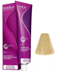 Juuksev&auml;rv Kadus Professional Permanent Color, very light blonde ash gold v., 9/13, 60 ml