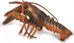 M&auml;ngukujuke Collecta Lobster 449014, 15 cm, pruun v.