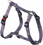 Koerte traksid Beeztees, hall v., 650 - 1000 mm x 25 mm, 65-100 cm