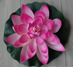 Aiakaunistus vesiroos f-004 d18