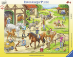 Pusle Ravensburger 061648, 32.5 cm x 24.5 cm, 40 tk, mitmev&auml;rviline