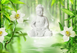 Fototapeet Artgeist Buddha And Nature, 70 cm x 70 cm