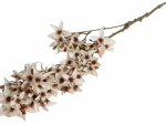 Kunstoks Homla Basic Noora, pruun v./valge v., 95 cm x 13 cm