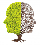 Seinadekoor Wallity Green And Dry, 45 cm x 56 cm