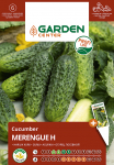 Seemned Garden Center, kurgid MERENGUE H, 10 tk