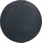 F&uuml;sioteraapia pall Leitz Ergo, 55 cm, 2.6 kg, tumehall v.