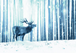 Fototapeet Artgeist Winter Animals - Deer Motif On A Forest Background In Shades Of Blue, 210 cm x 300 cm