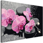 Maalimine numbrite j&auml;rgi Artgeist Orchid With Zen Stones (Black Background) MA_0127, 60 x 40 cm