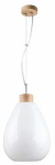 Valgusti rippuv Spot-Light Piro, E27, 1 x 60 W, tamm v.
