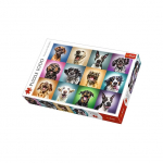 Pusle Trefl Funny Dog Portraits 10462, 68.3 cm x 48 cm, 1000 tk, mitmev&auml;rviline