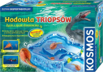 Loovkomplekt Piatnik Breeding Of Triops