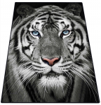 Vaip Conceptum Hypnose Savage 287CHL1486, valge/must/hall, 100 cm x 80 cm