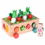 Vormi sorteerija Carrot Harvest Montessori, mitmev&auml;rviline