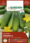 Seemned Garden Center, kurgid DIRIGENT H, 10 tk