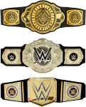 Komplekt rollim&auml;nguks, - Mattel WWE Worl Heavyweight Championship HNY41, (v&auml;rv/disain valitakse juhuslikult)